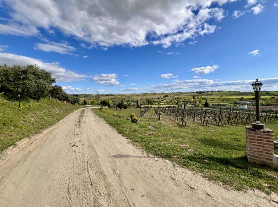 Camino de entrada